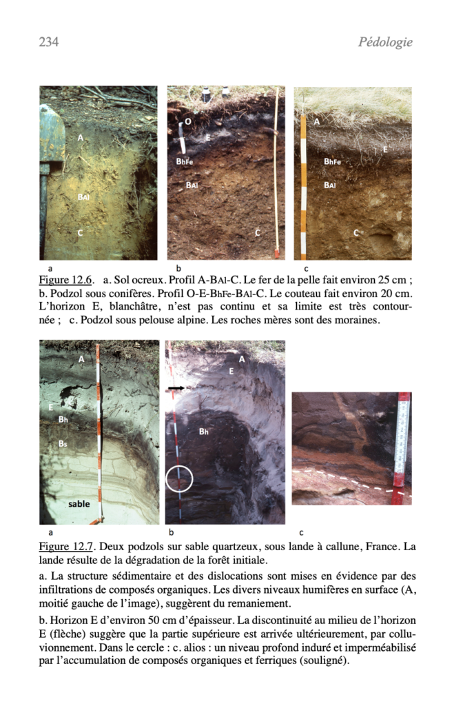 Pédologie : une approche nouvelle